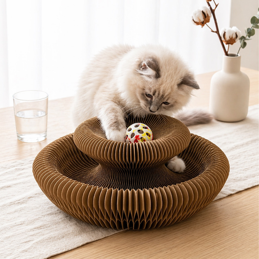 Grattoir Chat Écologique - Design Ondulé Unique pour un Félin Heureux