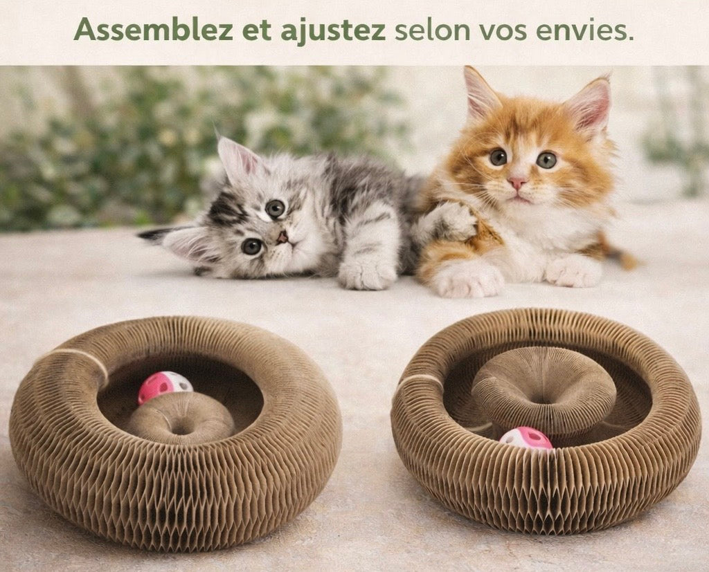 Grattoir Chat Écologique - Design Ondulé Unique pour un Félin Heureux