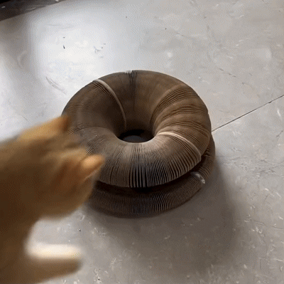 Grattoir Chat Écologique - Design Ondulé Unique pour un Félin Heureux